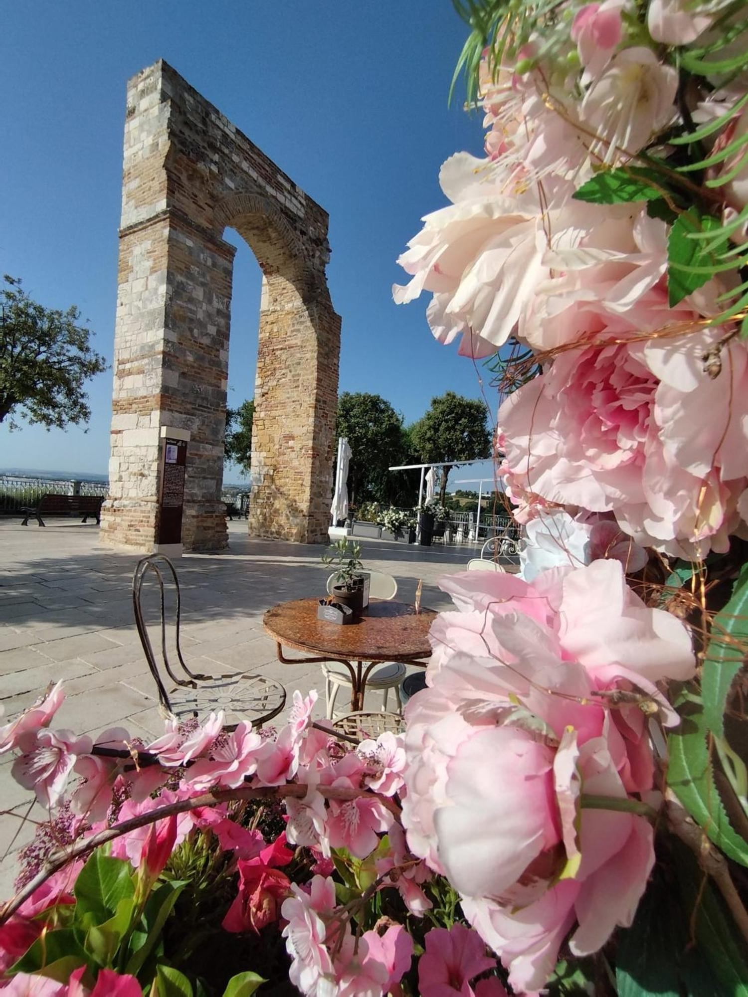 Appartamento L'Azalea - A Due Passi Da Numana Con Grande Terrazzo E Piscina Condominiale Stagionale Sirolo Exterior foto
